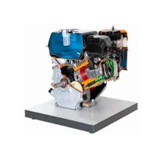 Four Stroke Four Cylinder petrol Engine Cut Section Model